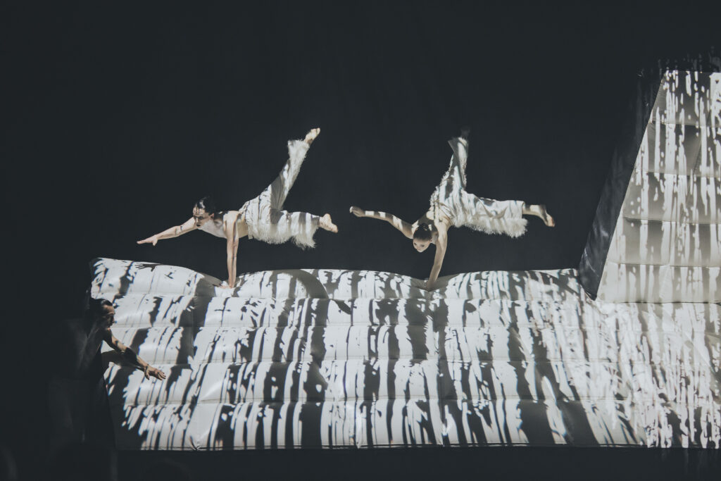 SWAN LAKE